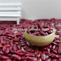 Hot sale quality Natural Brown English red kidney bean with Best qualtiy